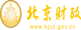 假屌电影北京市财政局